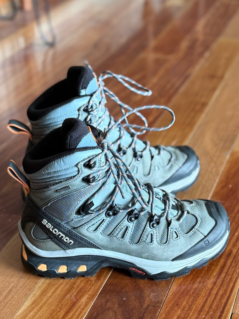 Salomon Quest 4D GTX Hiking Boots